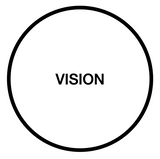 SHINE Project vision