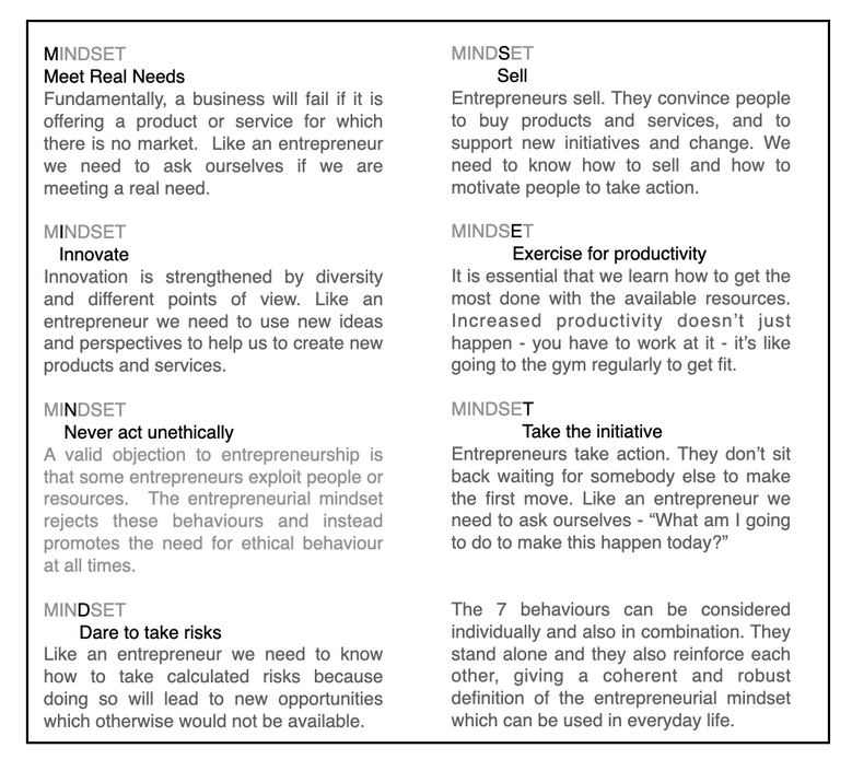 Entrepreneurial Mindset Definition