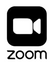 Zoom call SHINE Project