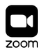 Zoom call SHINE Project